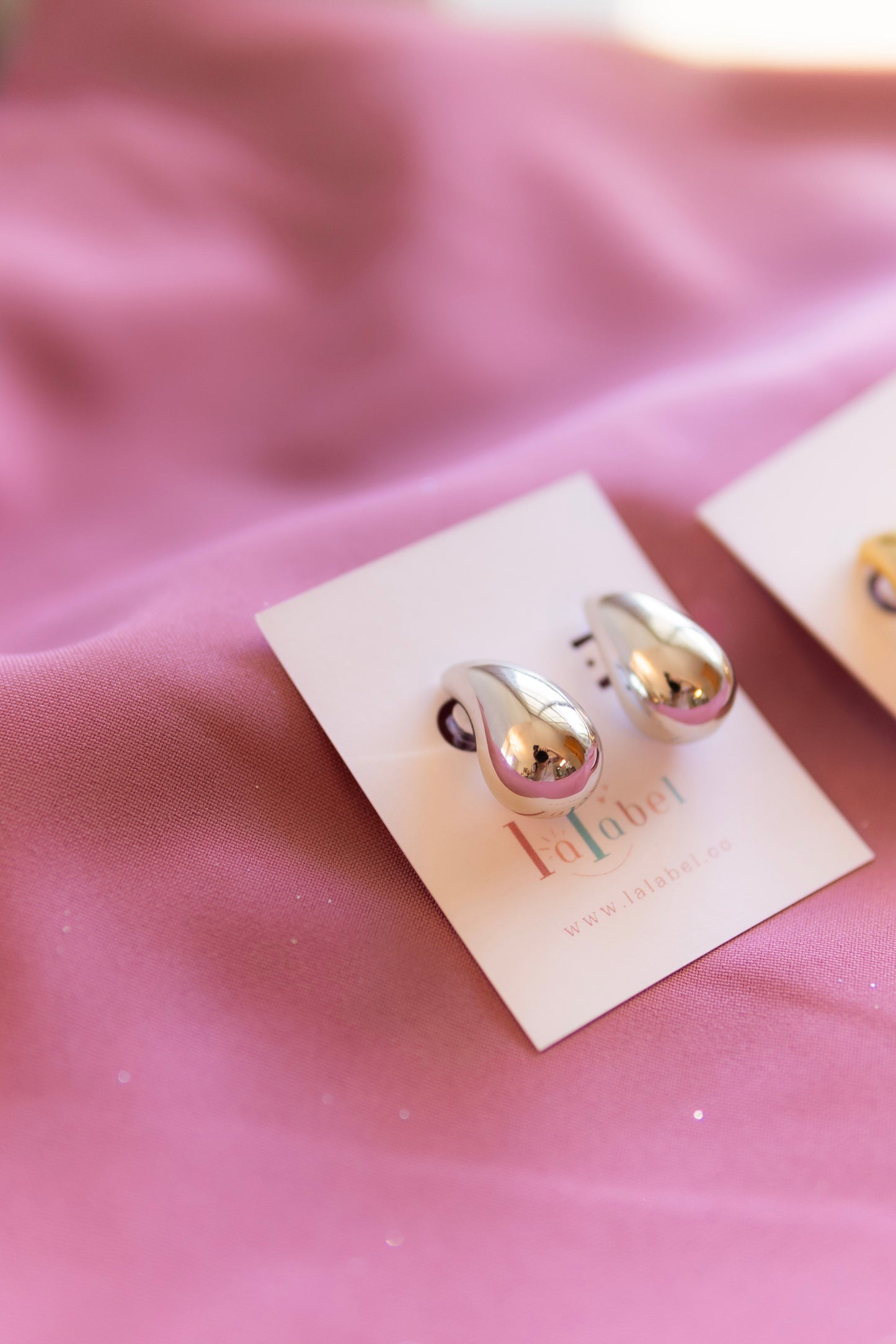 Bold Stud Trendy Earrings